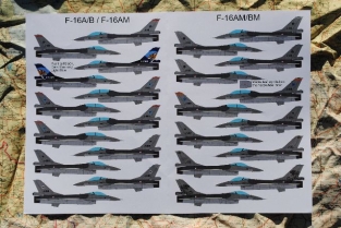 Flevo Decals FD72-015  313 Squadron F-16A/B F-16AM/BM 